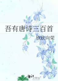 吾有唐诗三百首封面