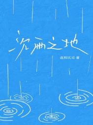 沉雨之地封面