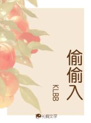偷偷入封面