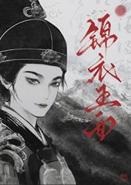 锦衣玉面封面