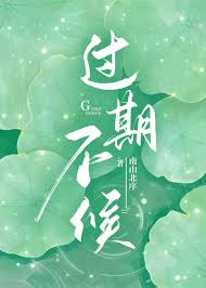 过期不候封面