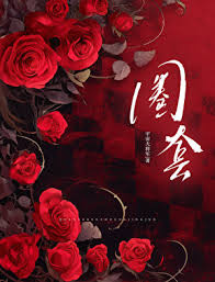 圈套封面