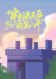 夫人死后的第八年封面