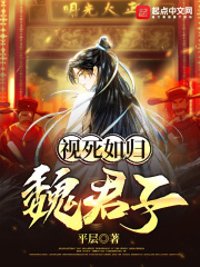 视死如归魏君子封面