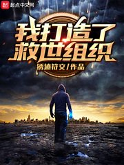 我打造了救世组织封面