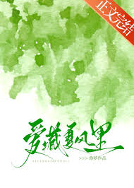 爱藏夏风里封面