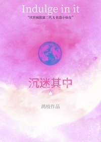 沉迷其中封面