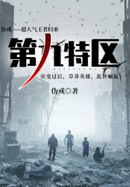 第九特区封面