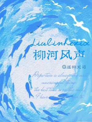 柳河风声封面