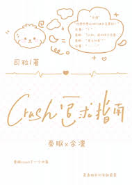crush追求指南封面